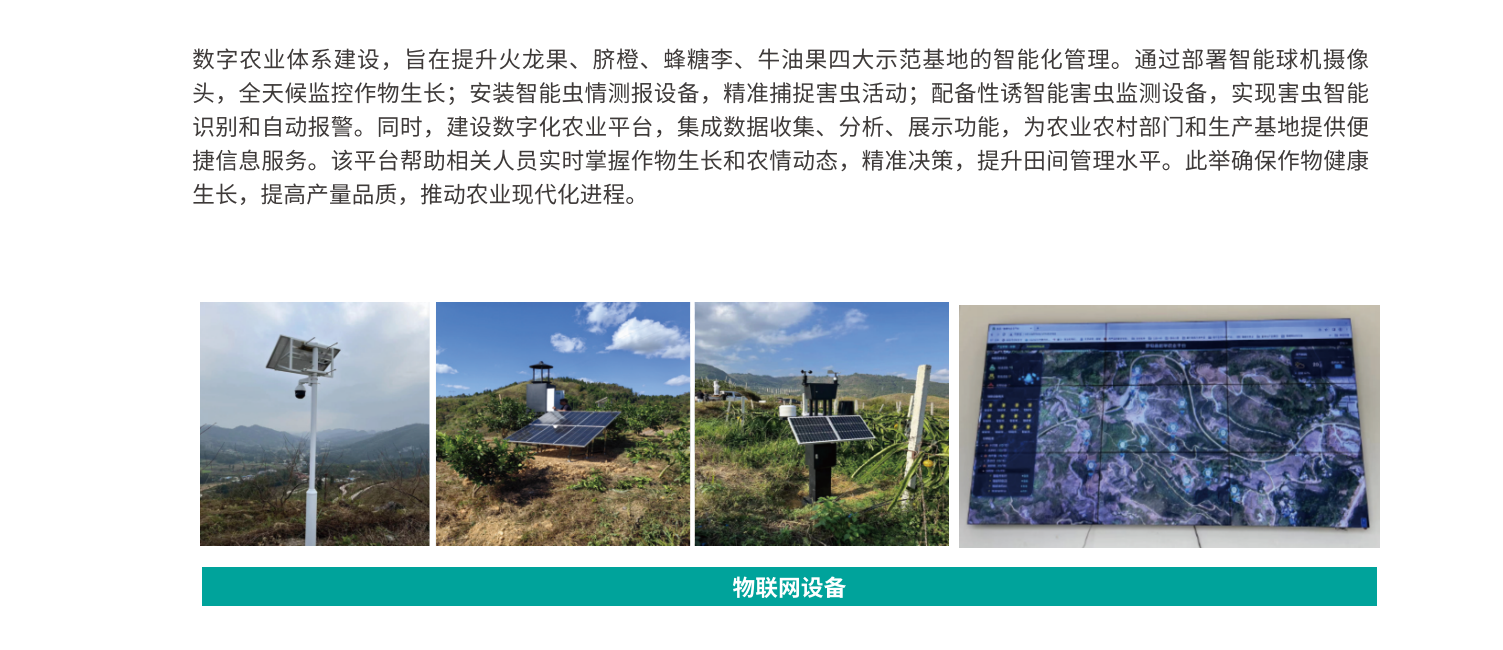 果园1.png